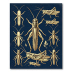 Vintage Golden Grasshopper Entomological Navy Rug