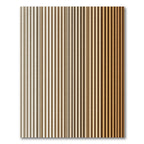 Earthy Gradient Vertical Stripe Rug