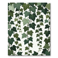 Various Green Ivy Vine Leaves Rug