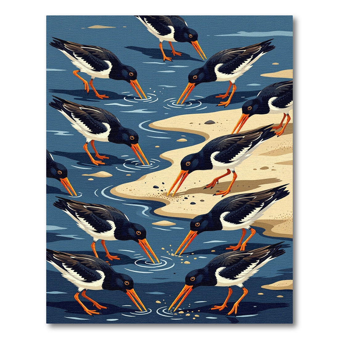 Coastal Oystercatcher Shorebird Navy Beach Sand Rug