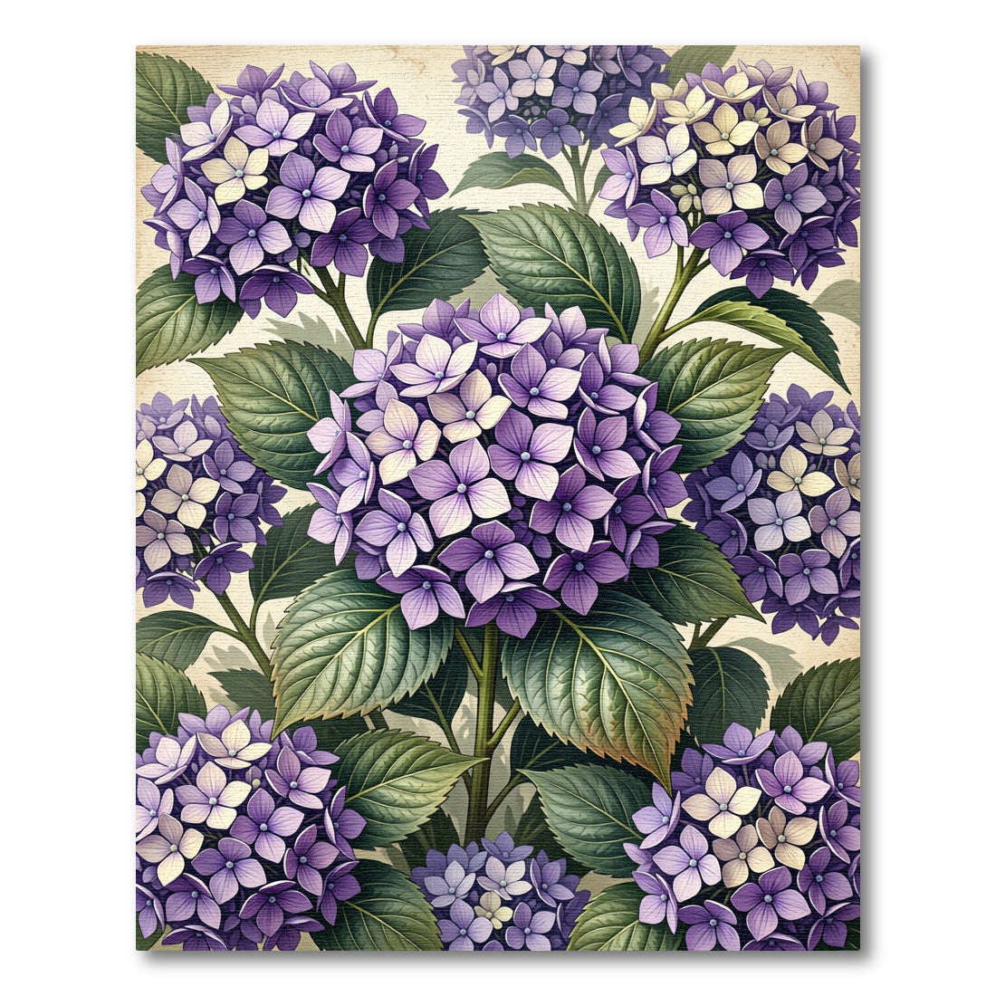 Lush Purple Hydrangea Botanical Illustration Rug