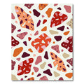 Warm Terracotta Organic Shape Rug