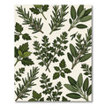 Lush Green Culinary Herb Botanical Illustration Rug