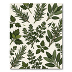 Lush Green Culinary Herb Botanical Illustration Rug
