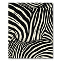 Black Ivory Striped Zebra Hide Rug