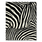 Black Ivory Striped Zebra Hide Rug