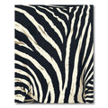 Bold Monochromatic Zebra Stripe Rug