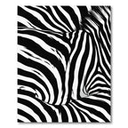 Bold Black and White Zebra Vortex Rug