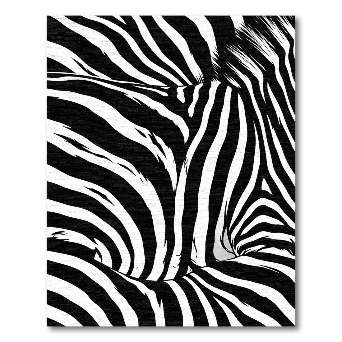 Bold Black and White Zebra Vortex Rug