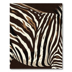 Bold Zebra Stripe Contemporary Rug