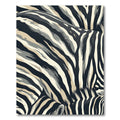 Abstract Charcoal Zebra Stripe Art Rug