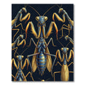 Golden Blue Mantis Insect Illustration Rug