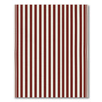 Bold Crimson White Vertical Stripes Rug