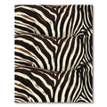 Bold Zebra Stripe Abstract Wave Rug