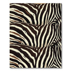 Bold Zebra Stripe Abstract Wave Rug