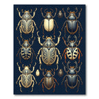 Ornate Entomological Golden Beetle Illustration Rug