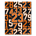 Varsity Orange Collegiate Number Graphic Rug