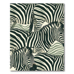Bold Zebra Stripe Animals Meadow Rug
