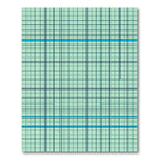 Sage Green Grid Plaid Geometric Teal Rug