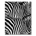 Bold Black White Equine Stripes Rug