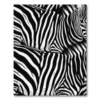 Bold Black White Equine Stripes Rug