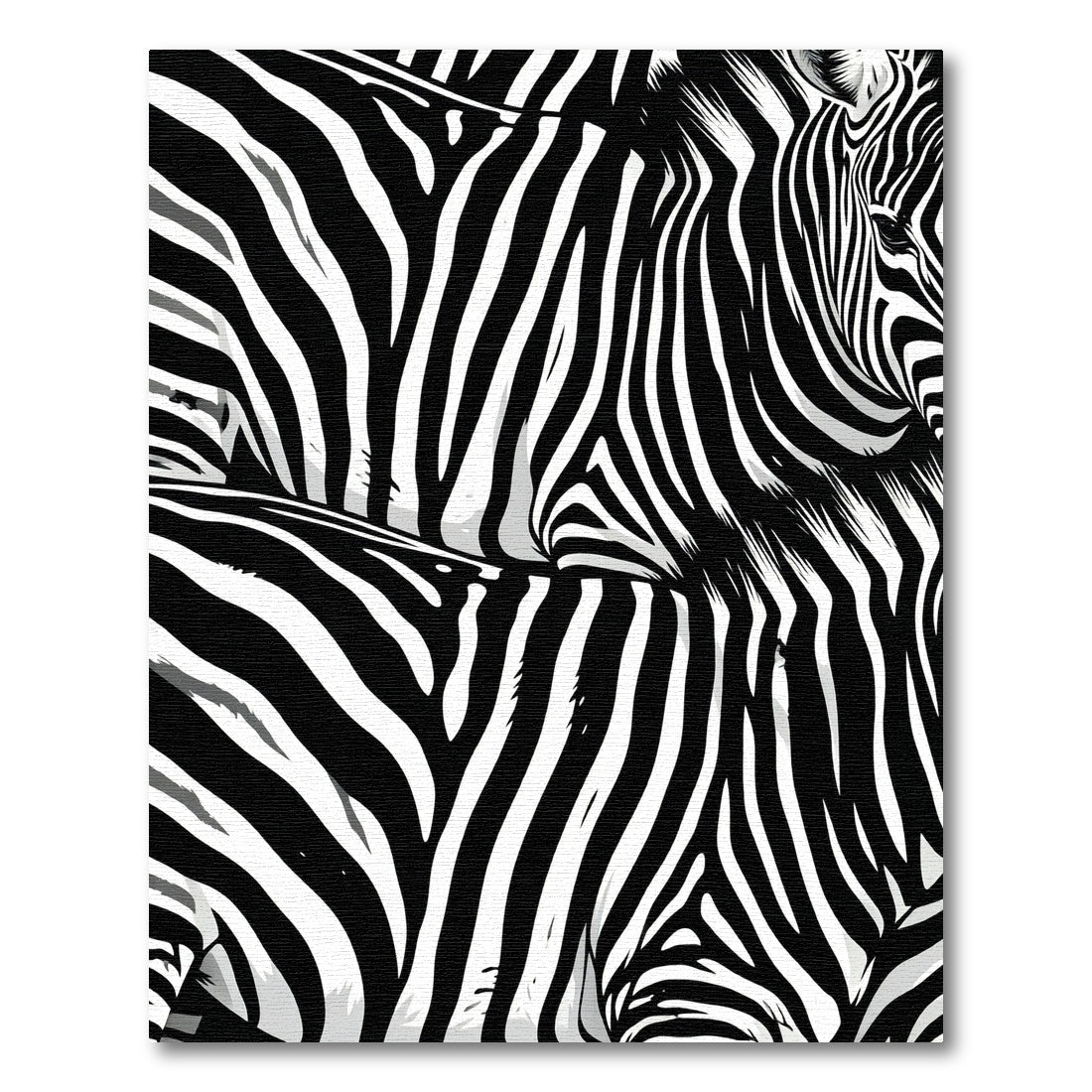 Bold Black White Equine Stripes Rug