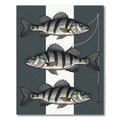 Striped Perch Fish Monochrome Art Rug