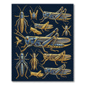 Golden Grasshopper Entomology Illustration Art Rug