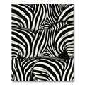 Striking Zebra Striped Organic Curves Rug