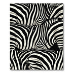 Striking Zebra Striped Organic Curves Rug