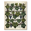 Lush Green Vineyard Grape Trellis Art Rug