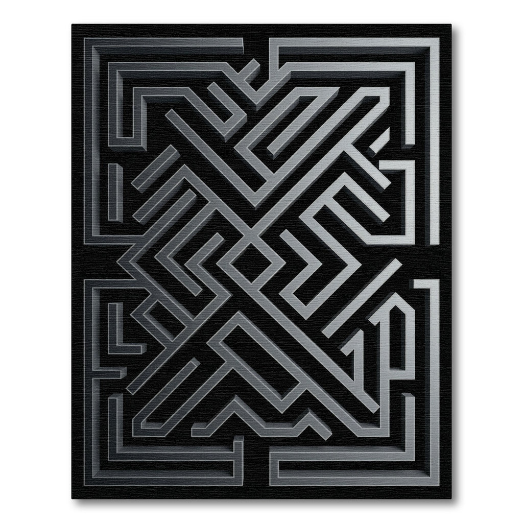 Gray Maze Perspective Rug