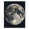 Celestial Gray Lunar Crater Full Moon Rug