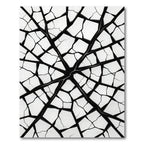 Monochromatic Cracked Geometric Fragment Rug