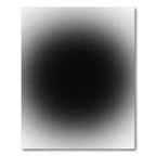 Black and White Gradient Swirl Rug